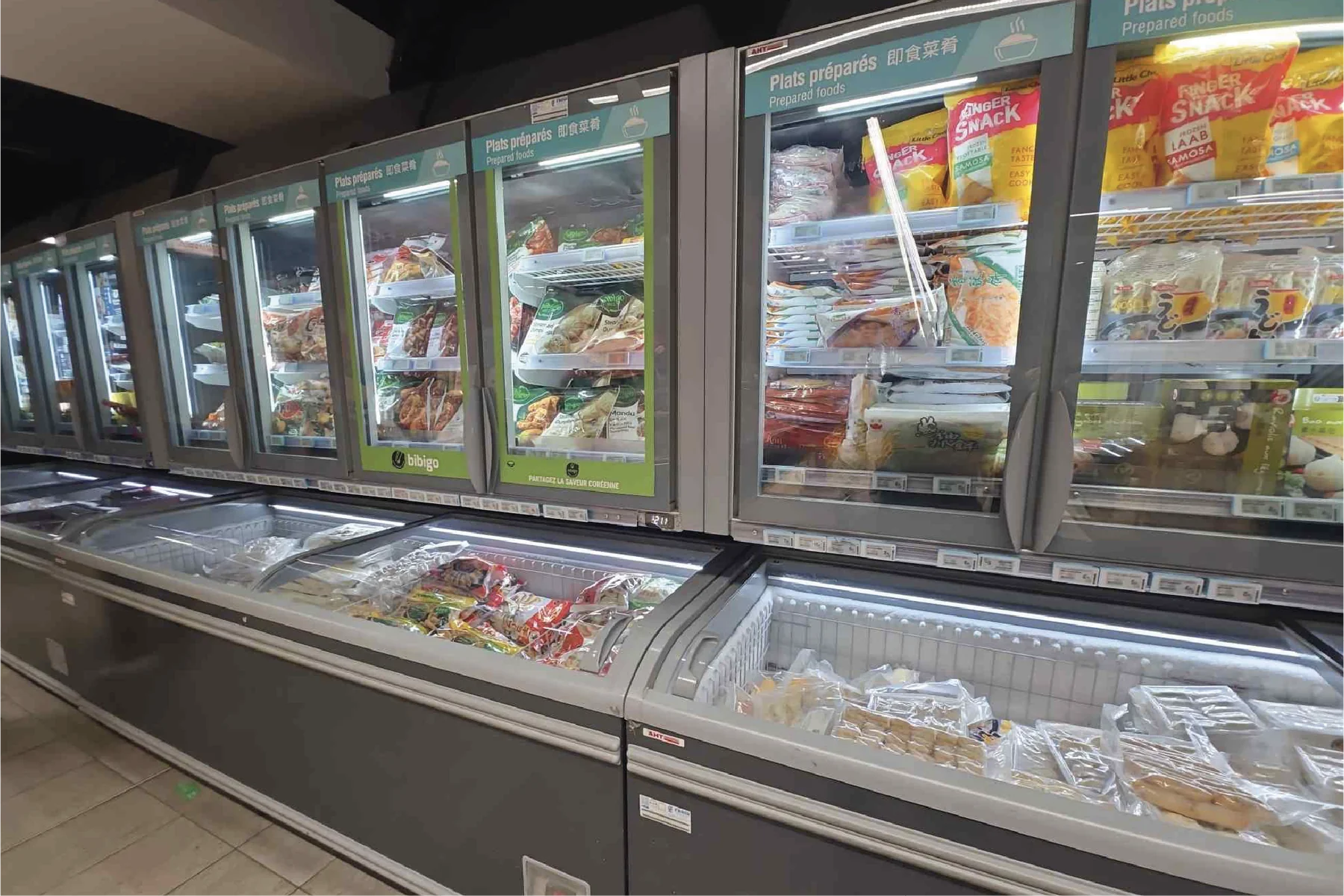 Frozen food category aisle audited for category trends